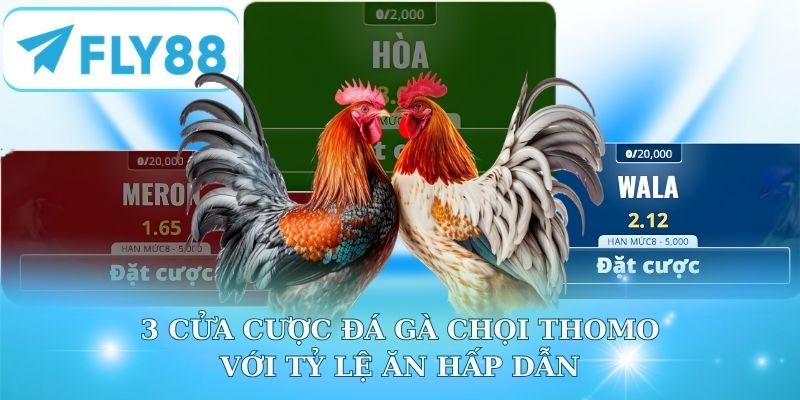 3 cửa cược chính với tỷ lệ ăn hấp dẫn